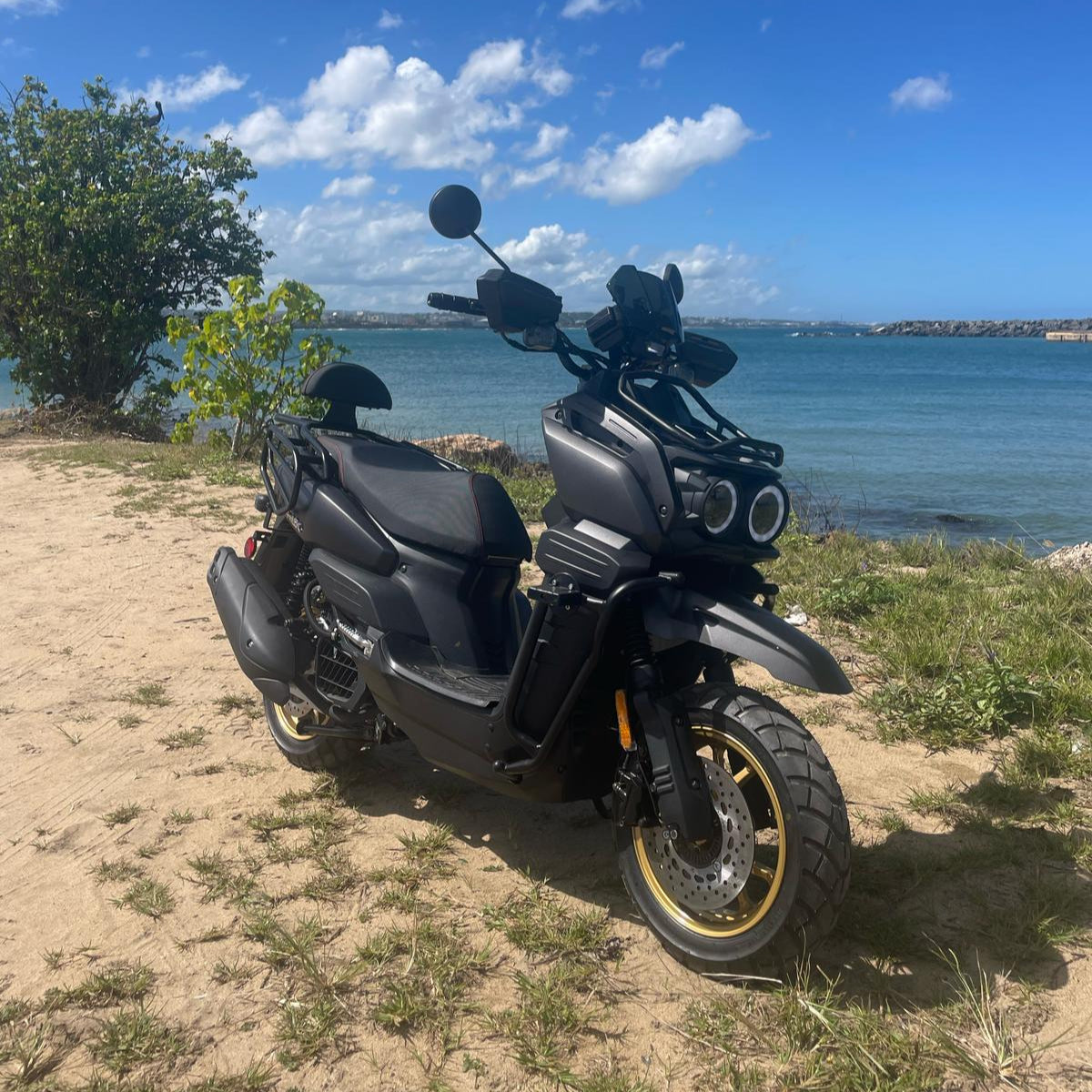 Scooter Motor Lion