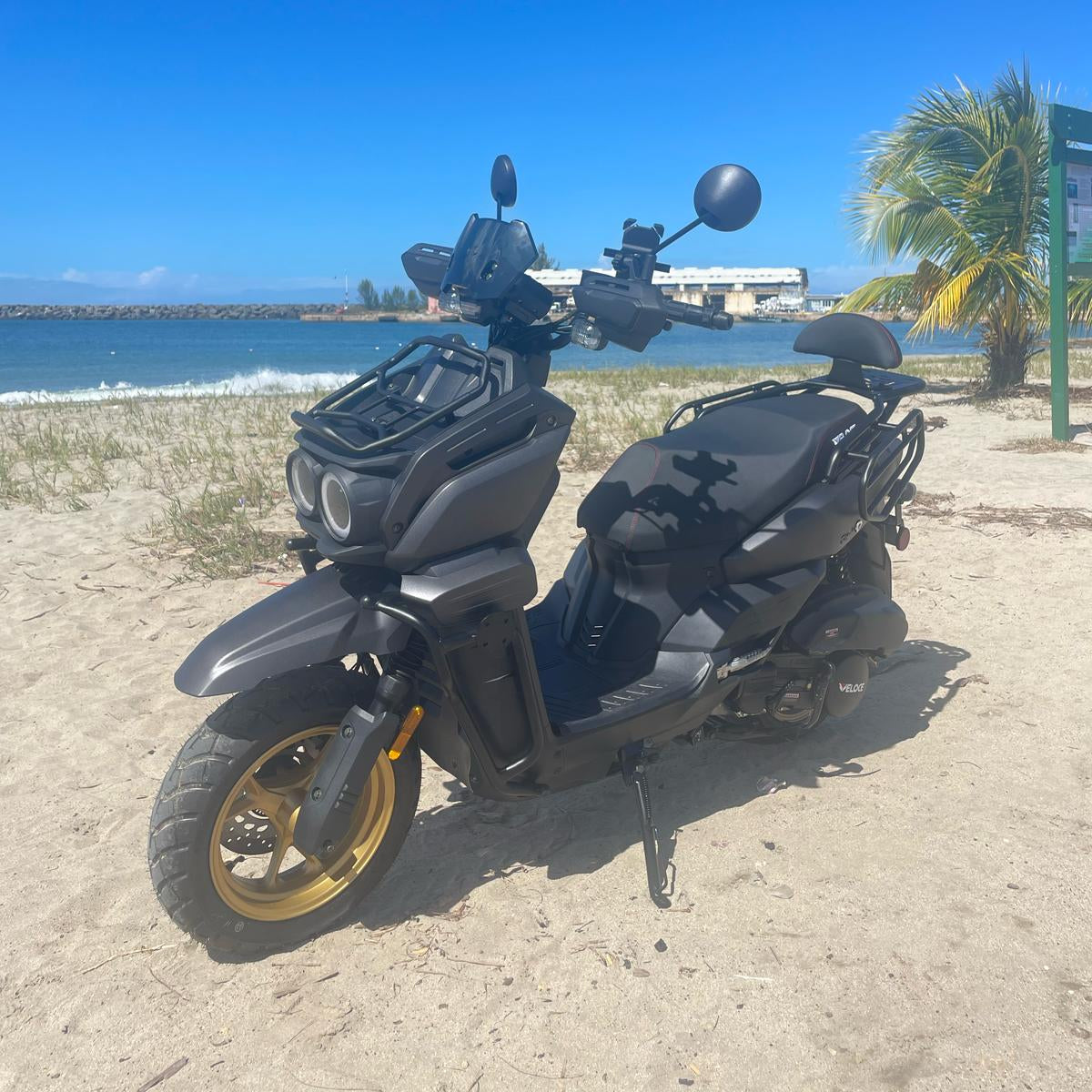 Scooter Motor Lion