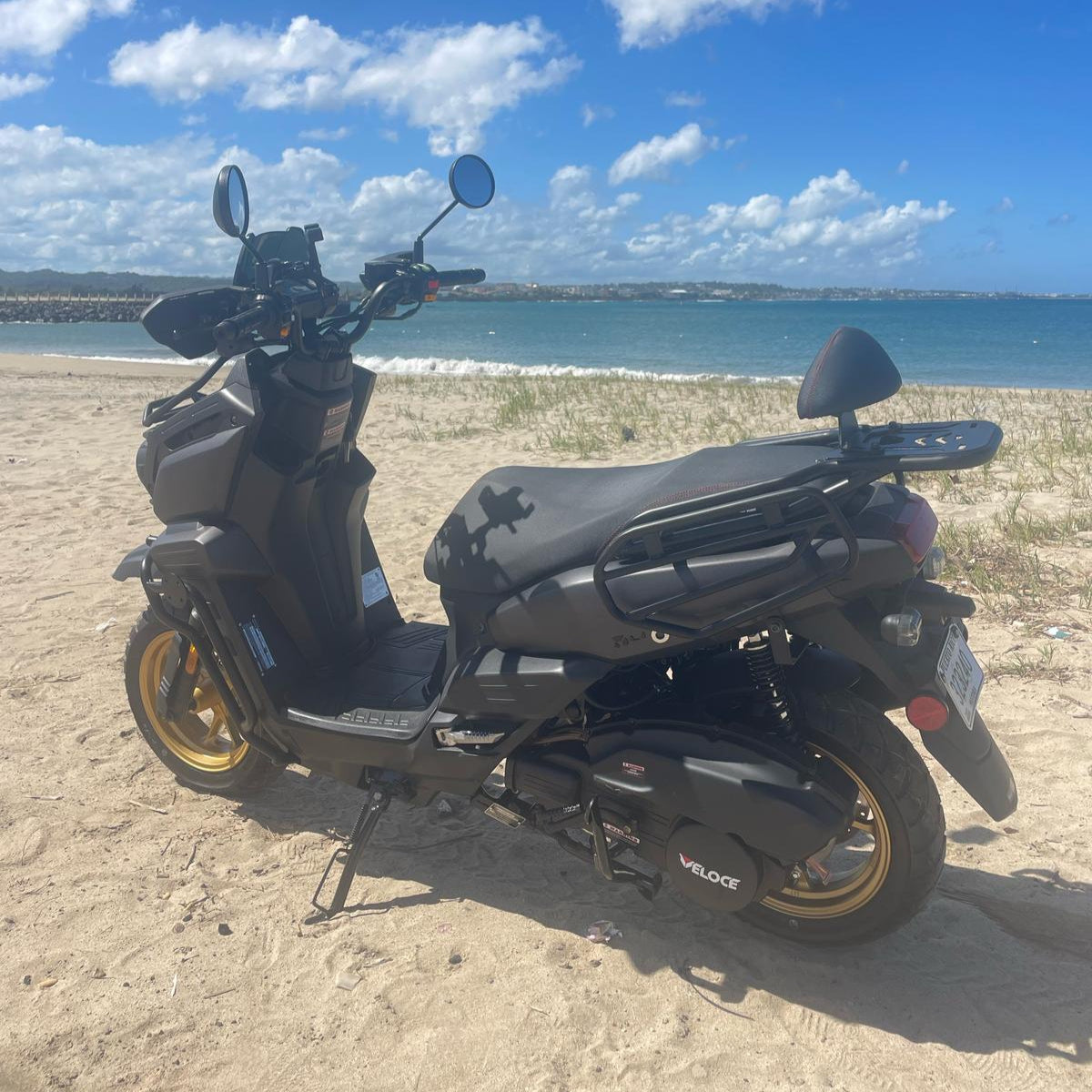 Scooter Motor Lion